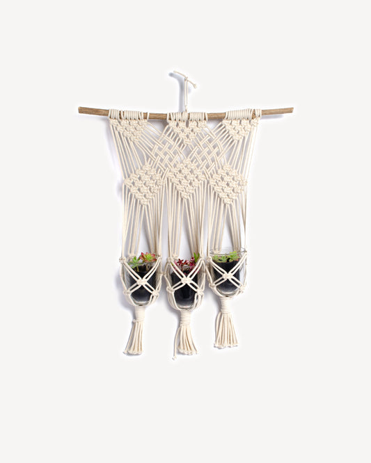 Une suspension réalisée en cordes de macramé pour trois petites plantes, réalisée par CTJ-creation