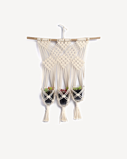 Une suspension réalisée en cordes de macramé pour trois petites plantes, réalisée par CTJ-creation